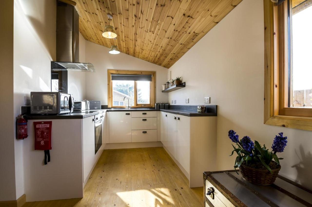 Fern Lodge - 2 Bedroom Log Cabin - Saint Florence - Tenby Екстер'єр фото